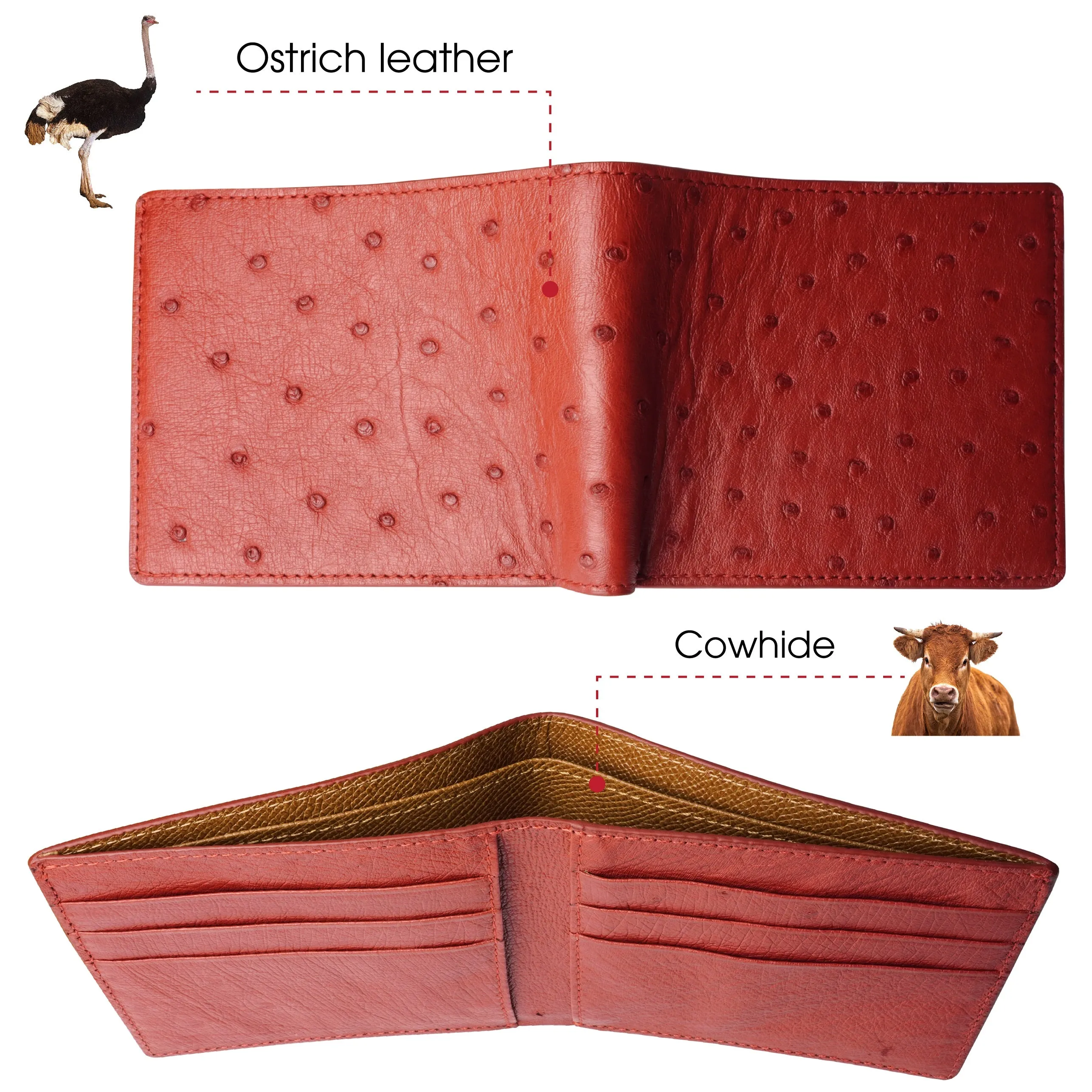 Red Handmade Double Side Ostrich Leather Bifold Wallet for Men | VINAMOS-07